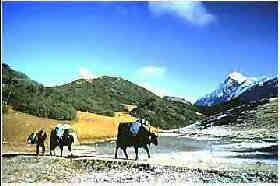 A view of Sikkim